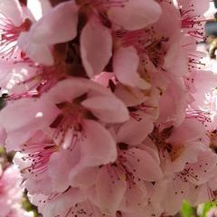 Profile Picture of Ute Machnik (@utemach) on Tiktok