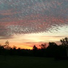 Profile Picture of Ken Roseman (@ken_roseman) on Twitter