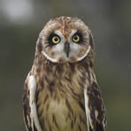 Profile Picture of Chris Kutsch (@chris.kutsch) on Facebook