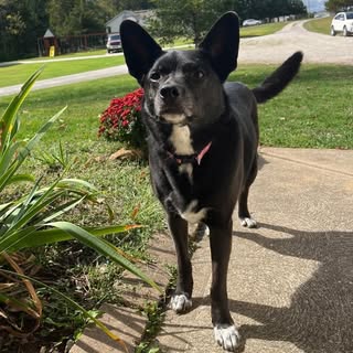 Profile Picture of Melanie Farrow (@melaniefarrow) on Instagram