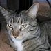 Profile Picture of Bobbie Mueller (@bobbie.mueller.98) on Facebook