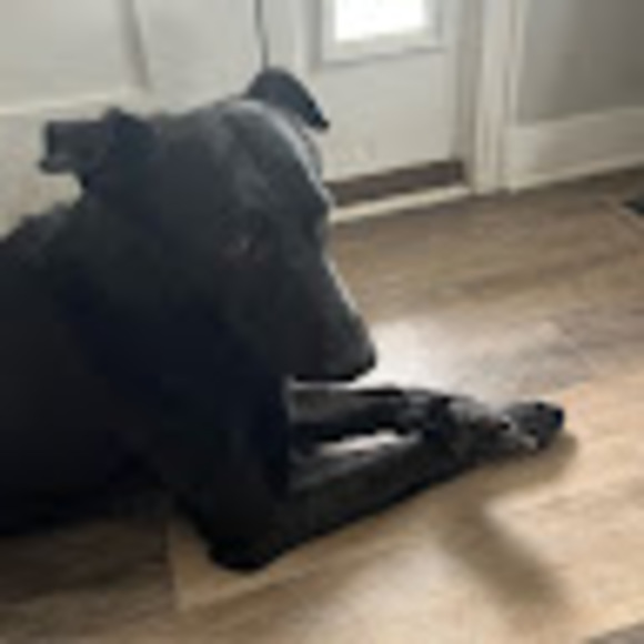 Profile Picture of Jason Bradshaw (@jasonbradsha604) on Poshmark