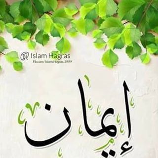 Profile Picture of Amy Mahmoud (@msmjnassary) on Facebook