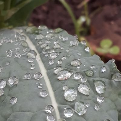 Profile Picture of Andre (@AndyUy1) on Twitter