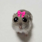 Profile Picture of Rita Obeid (@modilrita1505) on Youtube