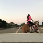 Profile Picture of Robin Smalley🌼💚 (@ridingmypainthorse) on Instagram