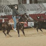 Steven Lyman - Instagram Profile Picture of Steven Lyman (@calfroper16) on Instagram