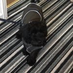 Jesse - Instagram Profile Picture of Jesse (@jesse.spare17) on Instagram