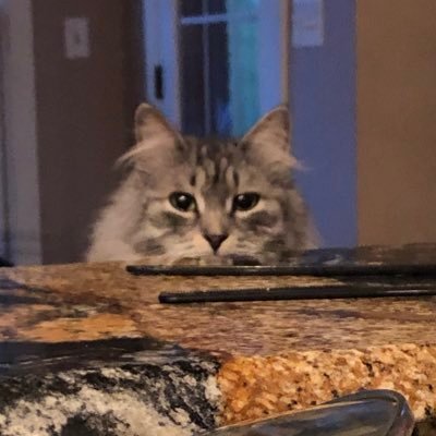 Profile Picture of Blake Kiefer (@BlakeKiefer9) on Twitter