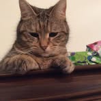 Profile Picture of Paula Maier (@paula.maier.5661) on Facebook