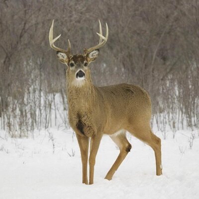 Profile Picture of Jerry Kasper (@jerryzoom) on Twitter