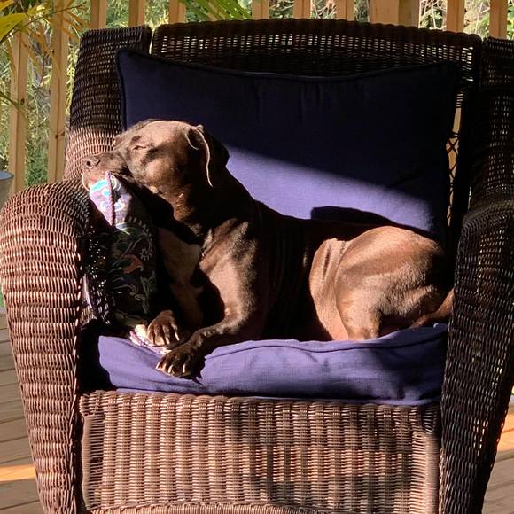 Profile Picture of Melanie Taylor (@melanietaylo271) on Poshmark