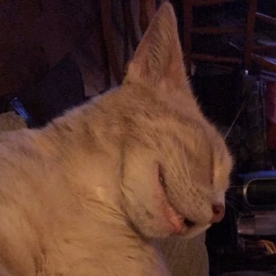 Profile Picture of Nathan Farnsworth (@BananaPhone9000) on Twitter