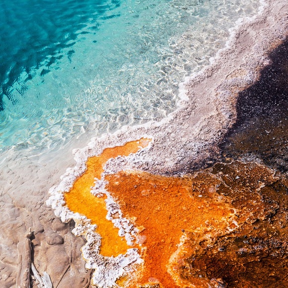 Profile Picture of Bertha Aguilera (@drea4904) on Poshmark