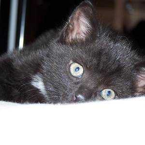 Profile Picture of Martijn Van Den Bosch (@matramurena) on Myspace