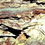 Profile Picture of Gerald Schäfer (@geraldostickerart55) on Instagram