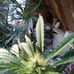 Profile Picture of Ron Stewart (@ron.stewart.568632) on Facebook