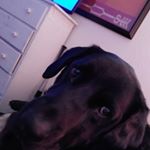 Profile Picture of xander willden (@cowboy07x) on Instagram