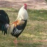 Profile Picture of David Monjaras (@monjarasdavid) on Instagram