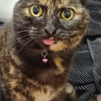 Michelle Mulhern - Facebook Profile Picture of Michelle Mulhern (@michelle.mulhern.9) on Facebook