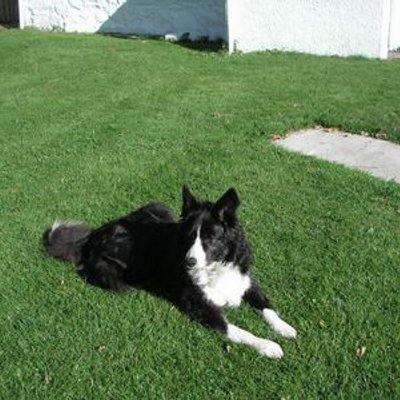 Profile Picture of Kate Burrow (@burrokate) on Twitter