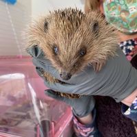 Profile Picture of Lorna Winter (@lorna-winter-3) on Quora