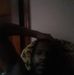 Profile Picture of Dominic Keys (@Dominic-Keys) on Facebook