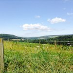 Profile Picture of kylefishwick (@kylefishwick) on Instagram