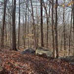 Profile Picture of Scott Kramer (@scott.kramer.549) on Instagram