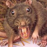 Profile Picture of Andrew Wilton (@andrewlitfam69) on Instagram