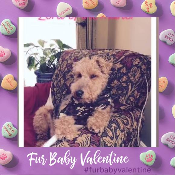 Profile Picture of Cheryl Adams-zanewicz (@ace1125) on Poshmark