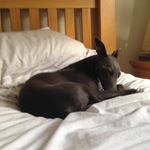 Profile Picture of Isaac McManus (@isaacmcmanusprivate) on Instagram