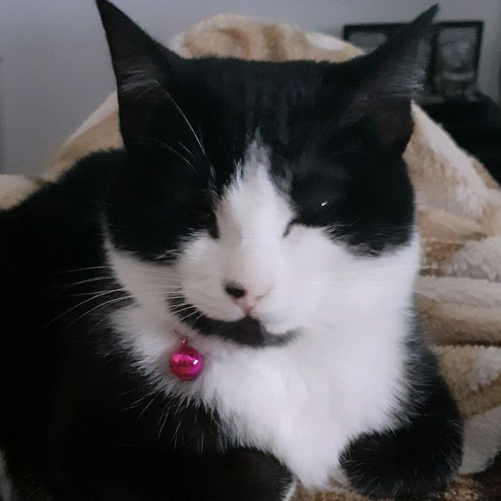 Profile Picture of Robert Justiniano (@robertjustiniano264) on Tiktok