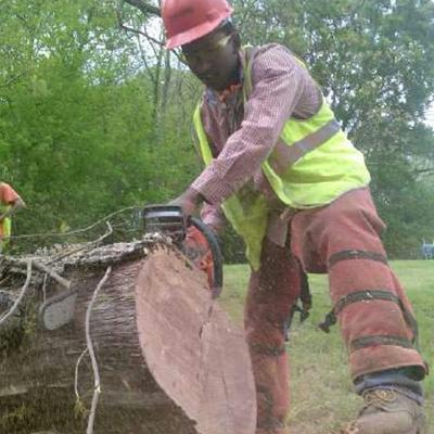 Chris Rasberry - Twitter Profile Picture of Chris Rasberry (@pfhs9) on Twitter