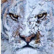 Profile Picture of Jeremy Yawn (@jeremyyawn2008) on Youtube