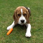 Mr Ted Barker - Instagram Profile Picture of Mr Ted Barker (@mrtedbarker) on Instagram