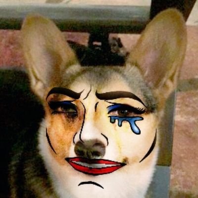 Profile Picture of Michael Anaya (@anayalization) on Twitter