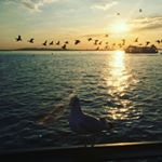 Profile Picture of Jonas Matthews (@matthews_jonas) on Instagram