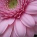 Profile Picture of Alison SiddallHi (@Alison-Siddall-Hi) on Facebook