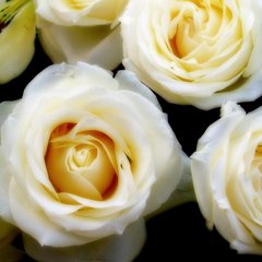 Profile Picture of Bhimireddy Pragnitha (@bhpragnitha) on Twitter