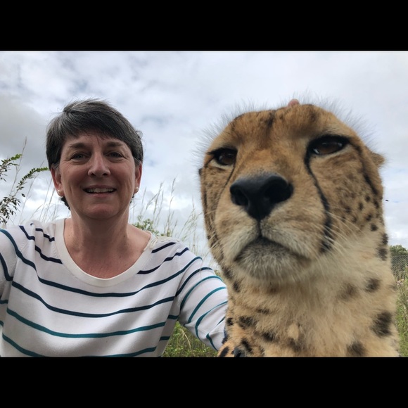 Profile Picture of Elizabeth Tezza (@emtezza) on Poshmark