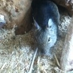 Profile Picture of Maurice Meier (@maurice_2000.11) on Instagram