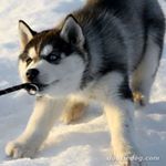 Profile Picture of Grégory Moret (@gregory.moret.9) on Instagram