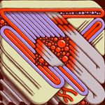 Profile Picture of Matt Reynolds (@reyno_volcano) on Instagram