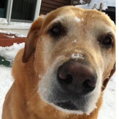 Profile Picture of Peter Gilbertson (@PeterGilbertson) on Twitter