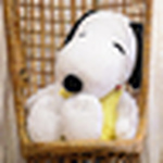 Profile Picture of %u5E03%u840A%u6069 Su (@%u5E03%u840A%u6069%u2027%u5C0F%u6CE2) on Flickr