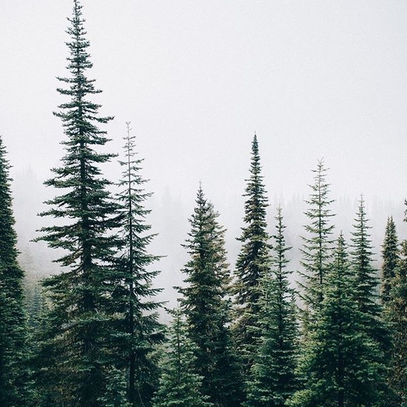 Profile Picture of Kristia Maatta (@kmaatta) on Poshmark