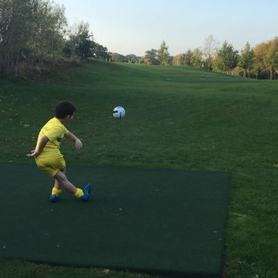 Profile Picture of Tom Levinson (@TomALevinson) on Twitter