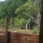 Profile Picture of melva Gonzalez (@gonzalez.melva) on Instagram