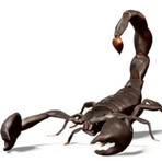 Profile Picture of Oriel Cohen (@Oriel-Cohen) on Facebook